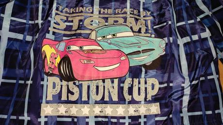 Vetrovka na prechod, disney,128