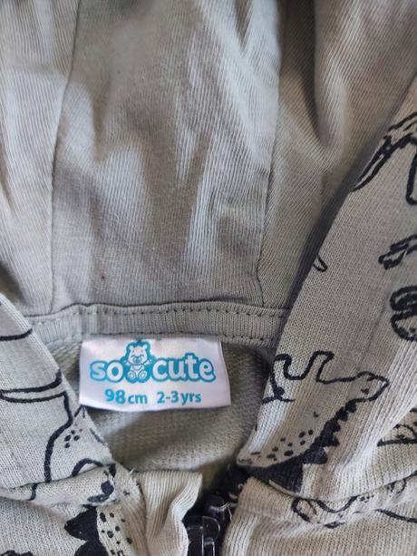 Vesta dino, pepco,98