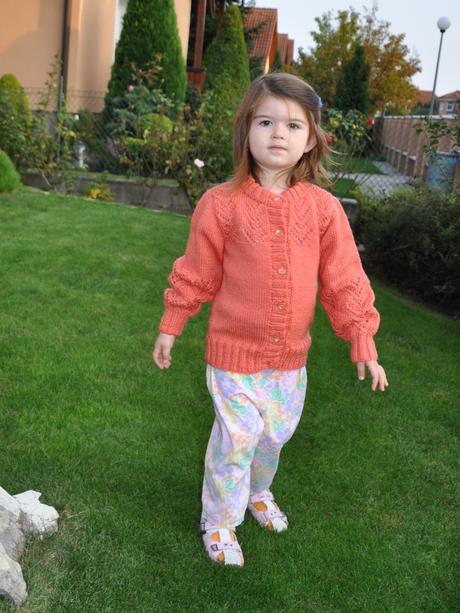 Ručná práca - marhuľkový sveter, 104