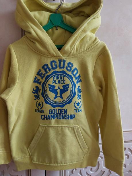 Limetkova mikina, 110