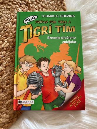 Mini tigrí tím brnenie dračieho zabijaka (2017), 