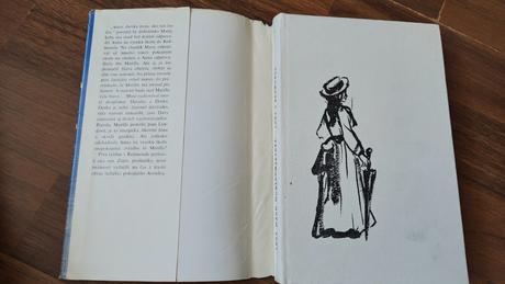 Kniha anna v redmonde, 