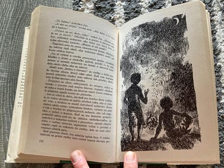 A zasa preskakujem kaluže-vyd.1978, 