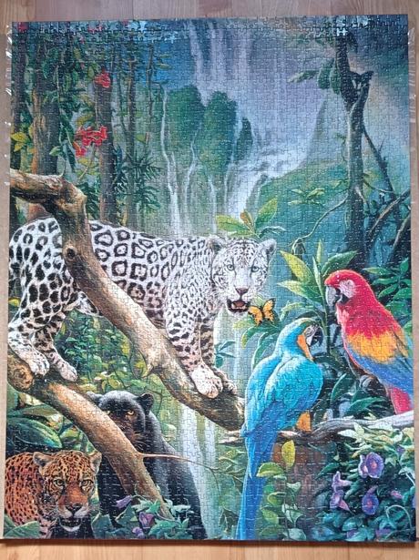 Puzzle 2000,