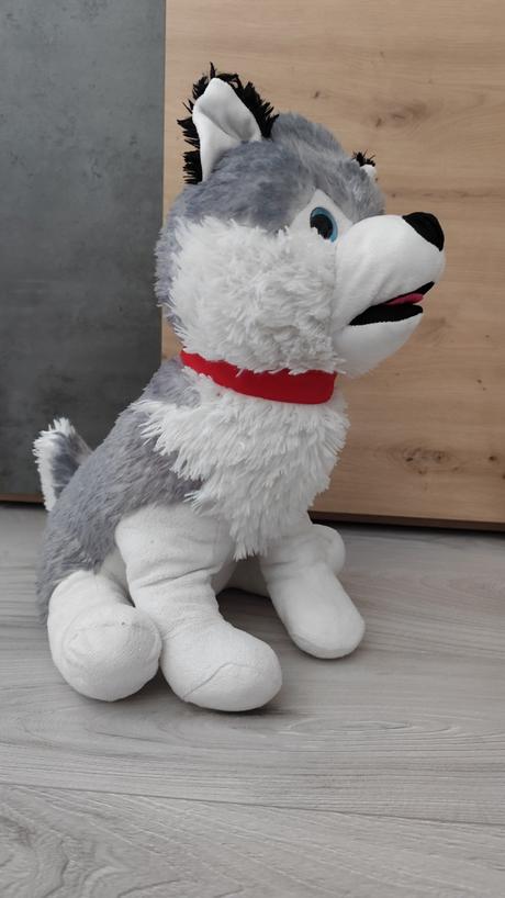 Plyšový husky 45cm,