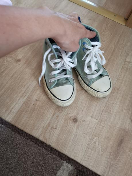 Členkové platenky, 31