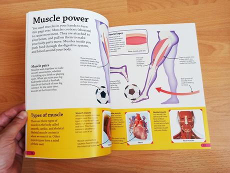 Dk find out seria aj jednotlivo, 