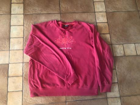 Kvalitna mikina, alpine pro,l