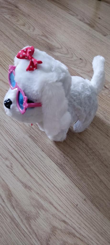 Psík- chodí, šteká, vrtí chvostíkom, 