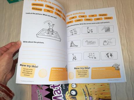 Andrew brody basics learning set x6 nwi18, 