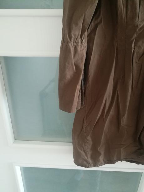 Kosela hneda damska, m