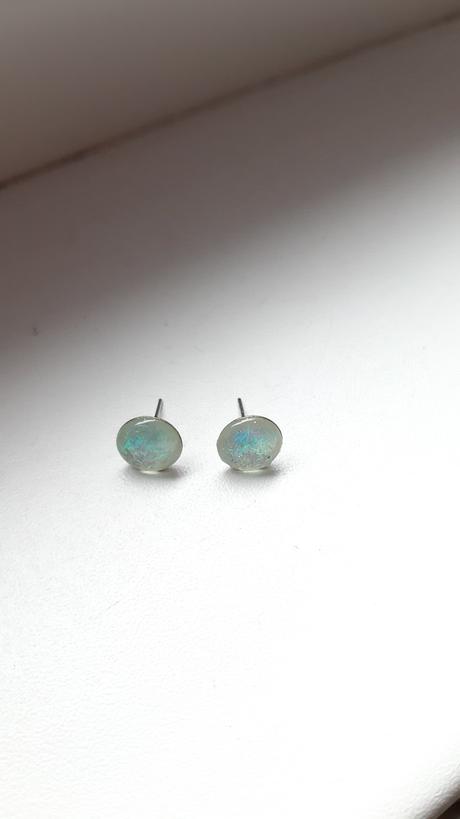 Nausnice trblietave, 