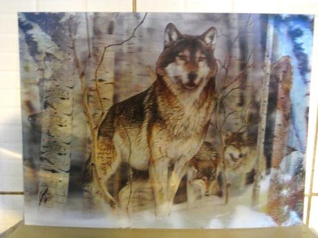 Pohyblivé obrazy 3d, 