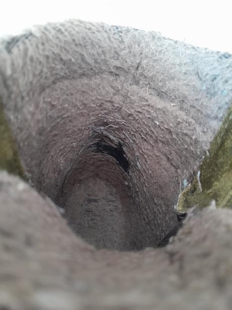 Froddo barefoot zimne, froddo,27