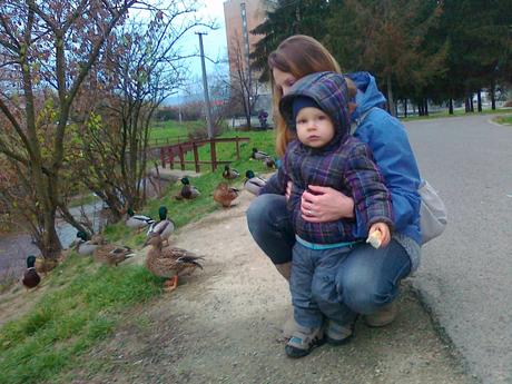 Zimná bunda zara , zara,86