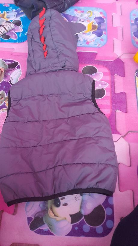 Vesta-nová, disney,80