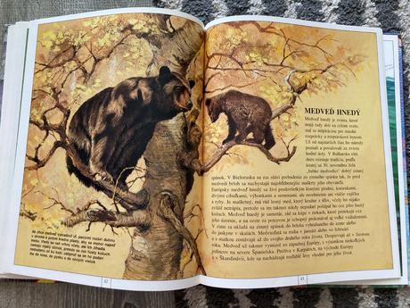 Zvieratá európy-prvé vyd.1997, 