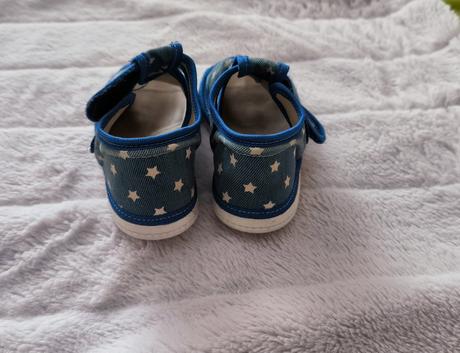 Rak papučky, rak,24