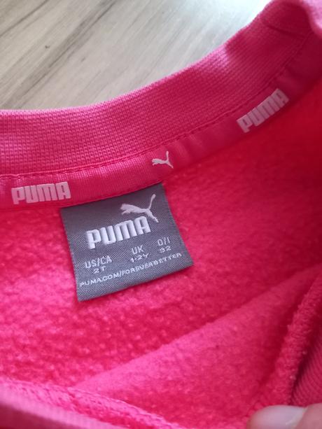 Suprava puma, puma,92