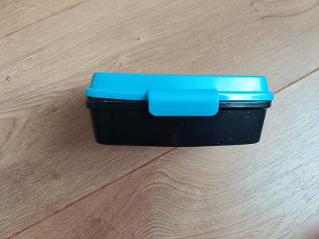 Desiatovy box raptor, 