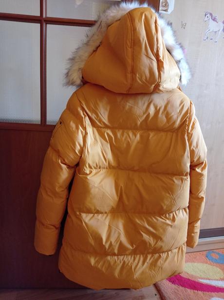 Dievcenska vetrovka, 164