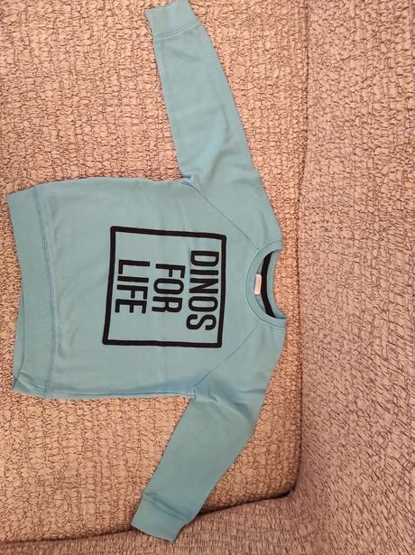 Predám chlapčenskú mikinu veľk. 110, pepco,110