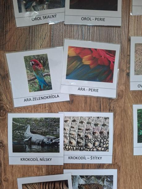 Kartičky - zvierata a ich srst/perie/pancier/supin, 