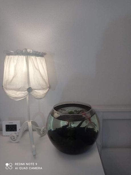 Akvárium - sklenená guľa pre rybičky,