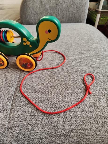 Tahacia korytnačka,