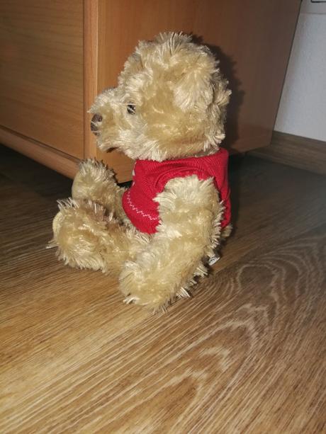 Plyšový medvedík, 