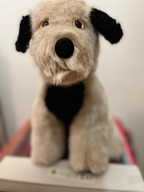 Plyšový pes s jemnou srsťou, 