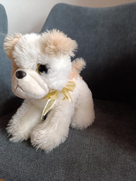 Psík plyšový brechajúci, 