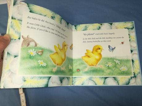 Little duck lost    jul18, 