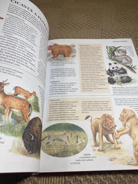 Školská encyklopédia svet poznania v jedinom zväzk,