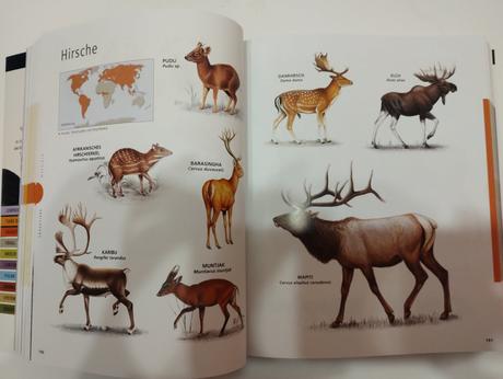 Encyklopédia zvieratá, 