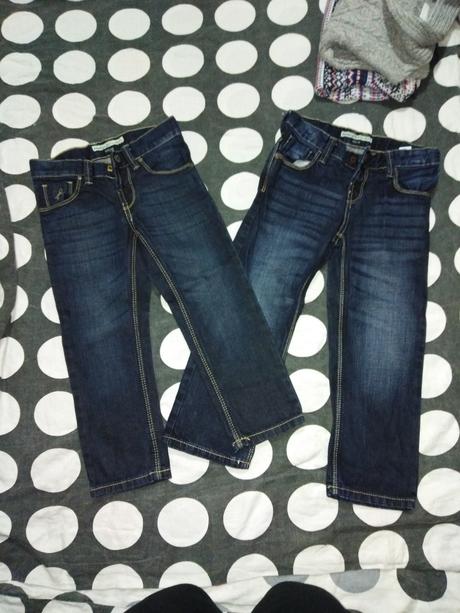 Riflicky, palomino,110