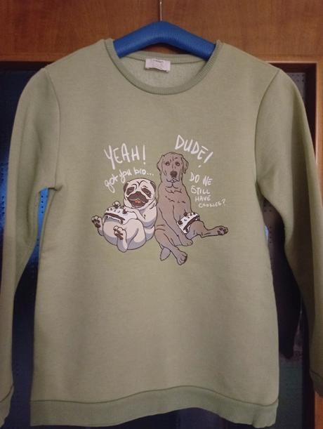 Mikina hrubšia, 146