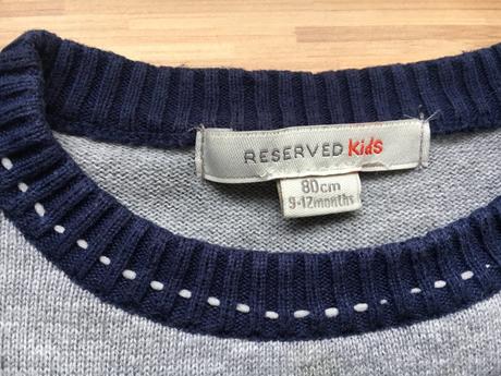 Dinosaurus / dracik svetrik, reserved,80