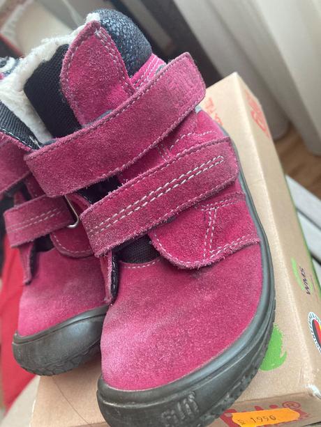 Filii himalaya, filii,25