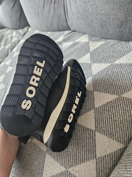 Snehule sorel, sorel,28