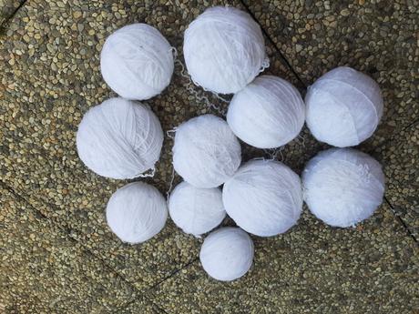 Páraná sneho-biela vlna., 