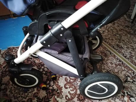 Kocik, bexa,bexa line