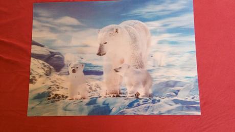 3d podlozka na stol, 