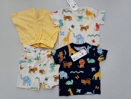 Set safari, lindex,68