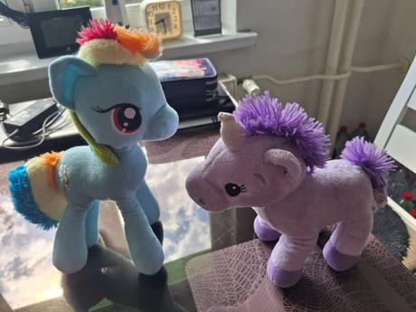 Rainbow dash plus kniha, 