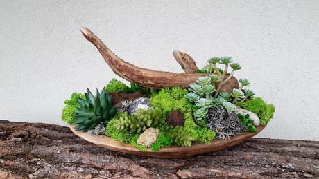 Mach design - odber košice, 