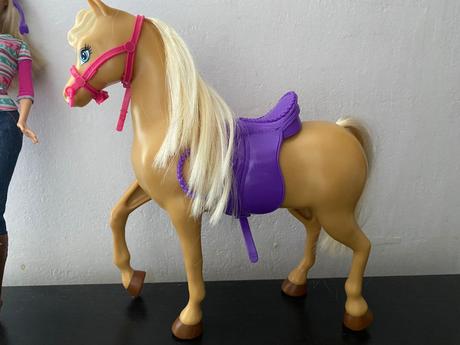 Barbie a koník, 