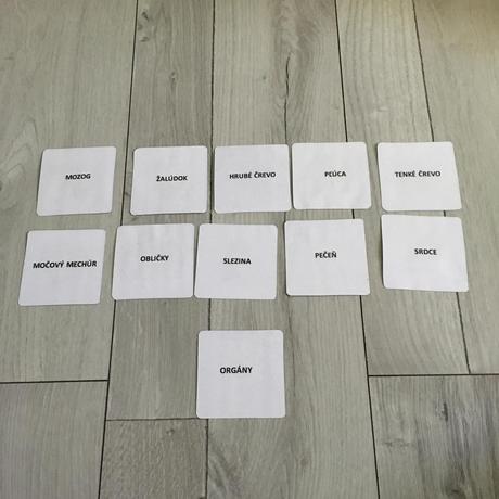 Kartičky ľudské orgány ,