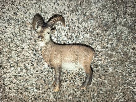 Schleich kozorozec, 