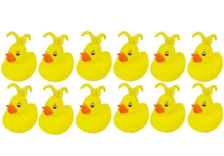 Polesie vodná hra chyť kačku,